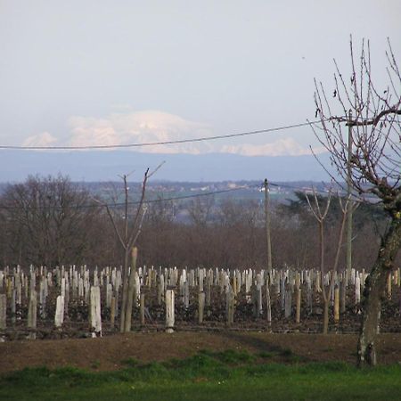 Château de Grandmont Blacé Exterior foto